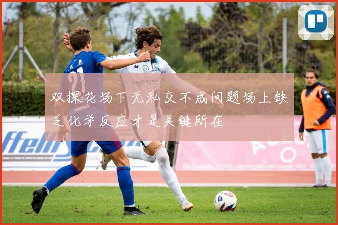 双探花场下无私交不成问题场上缺乏化学反应才是关键所在